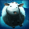 Běžící ovce
